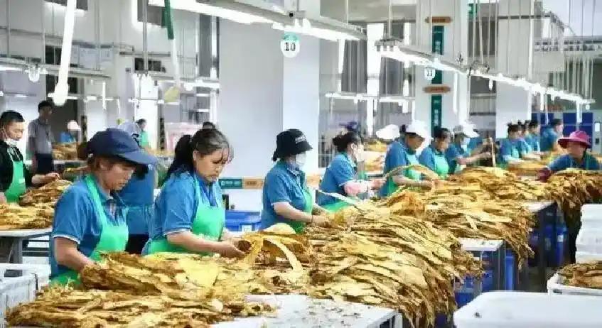 华体会体育汉密尔顿自曝首胜前曾自我怀疑 华体会体育汉密尔顿自曝首胜前曾自我怀疑