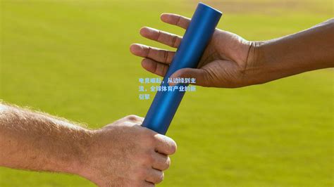 青海西宁·绿城世界杯小组案例 华体会体育